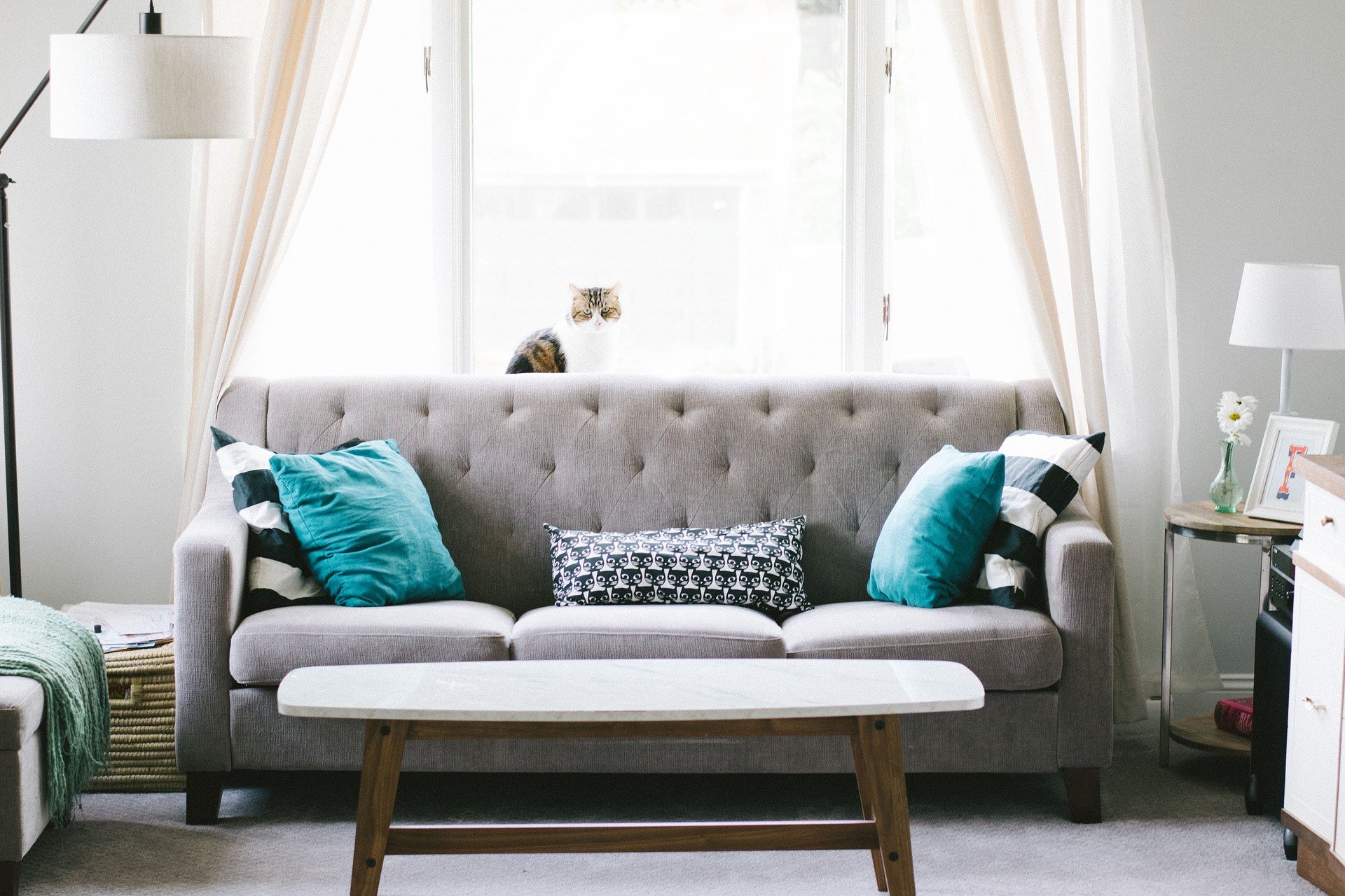 Fenster kaufen – doch welche sind die Optimalsten?